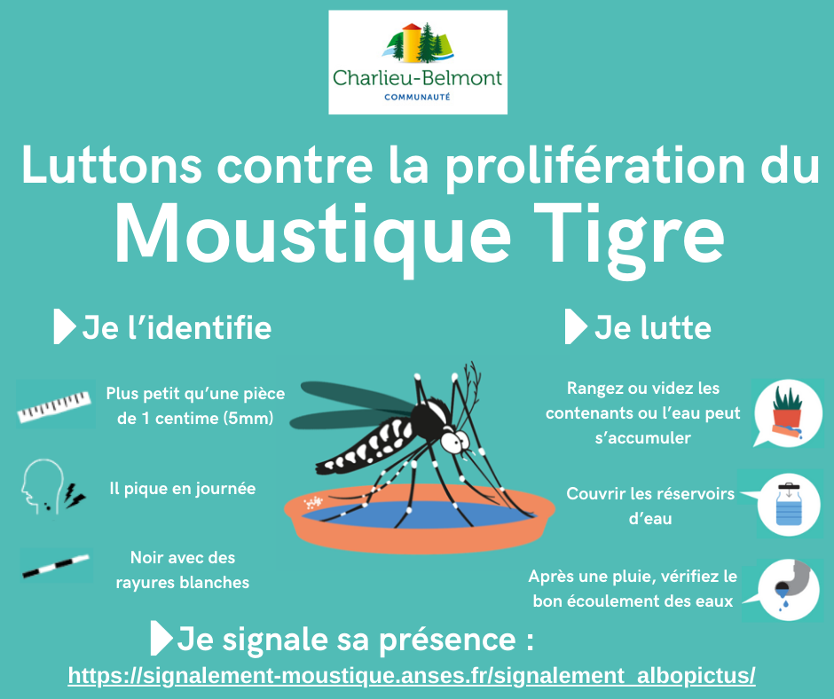 luttons contre la proliferation du moustique tigre